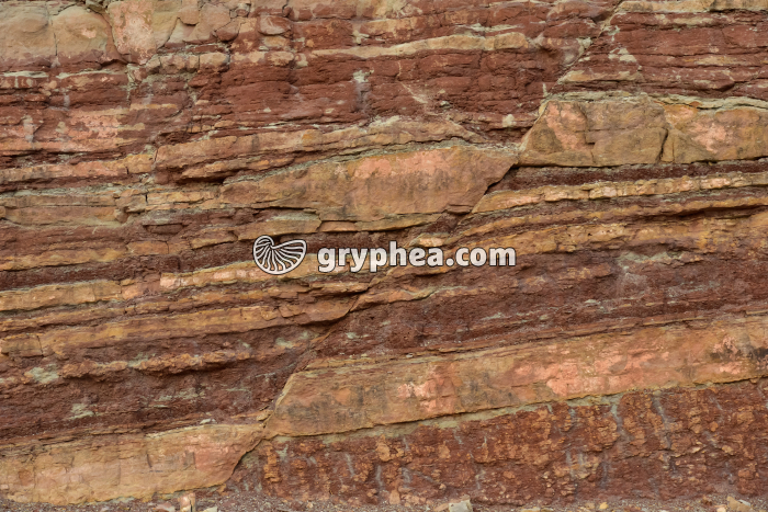 Faille (Hérault) - gryphea.com